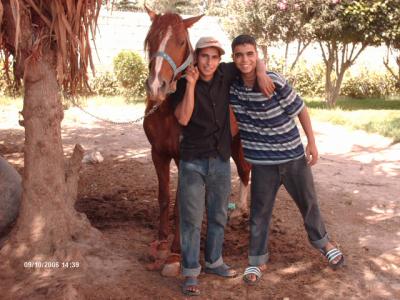 voila c moi et noter cheval