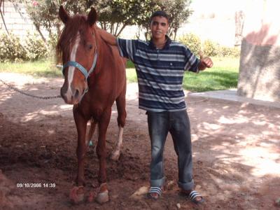 moi et mon cheval